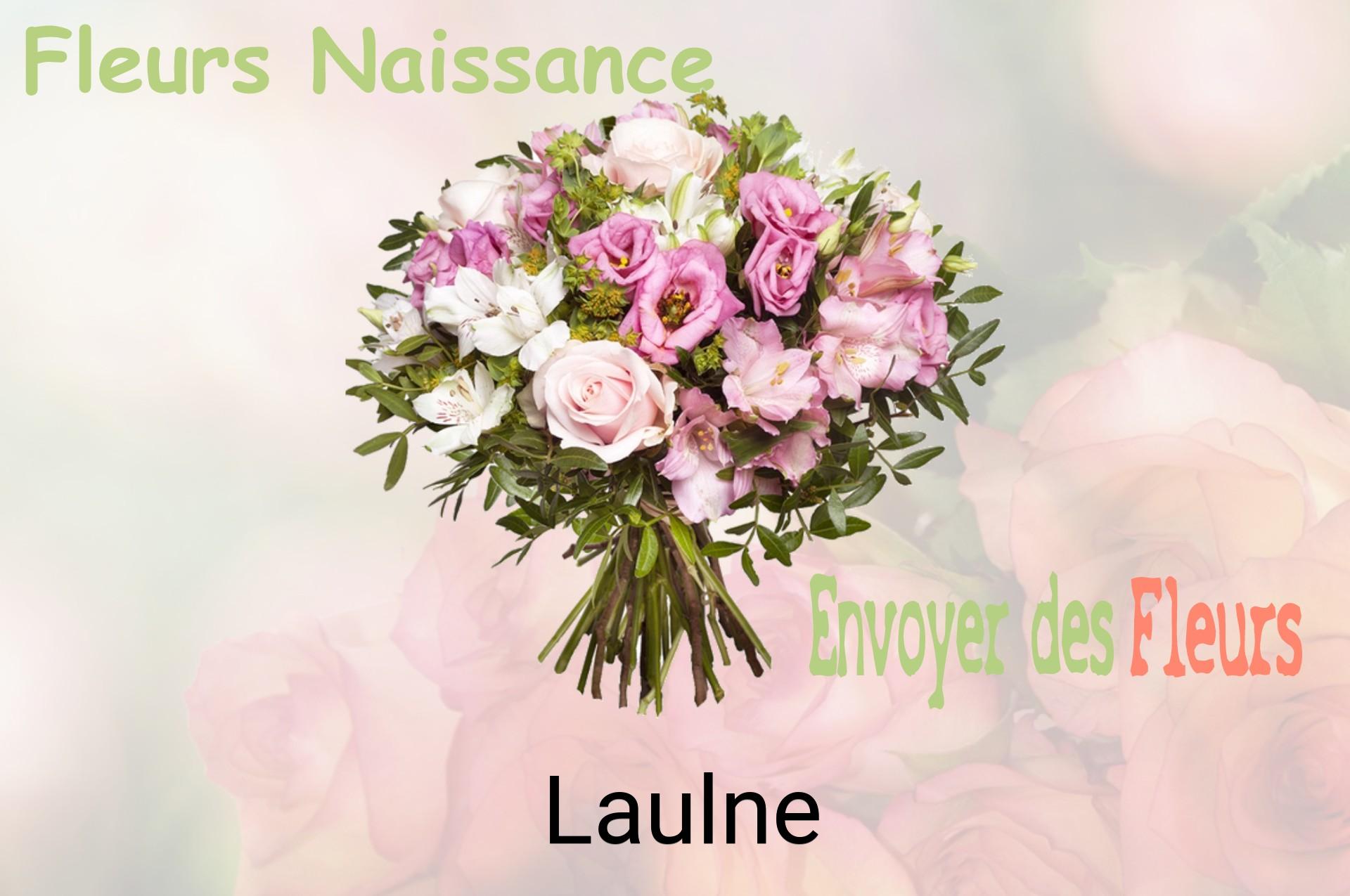 Bouquet de fleurs de naissance livré à Laulne
